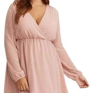 Blush Skater Style long sleeve dress